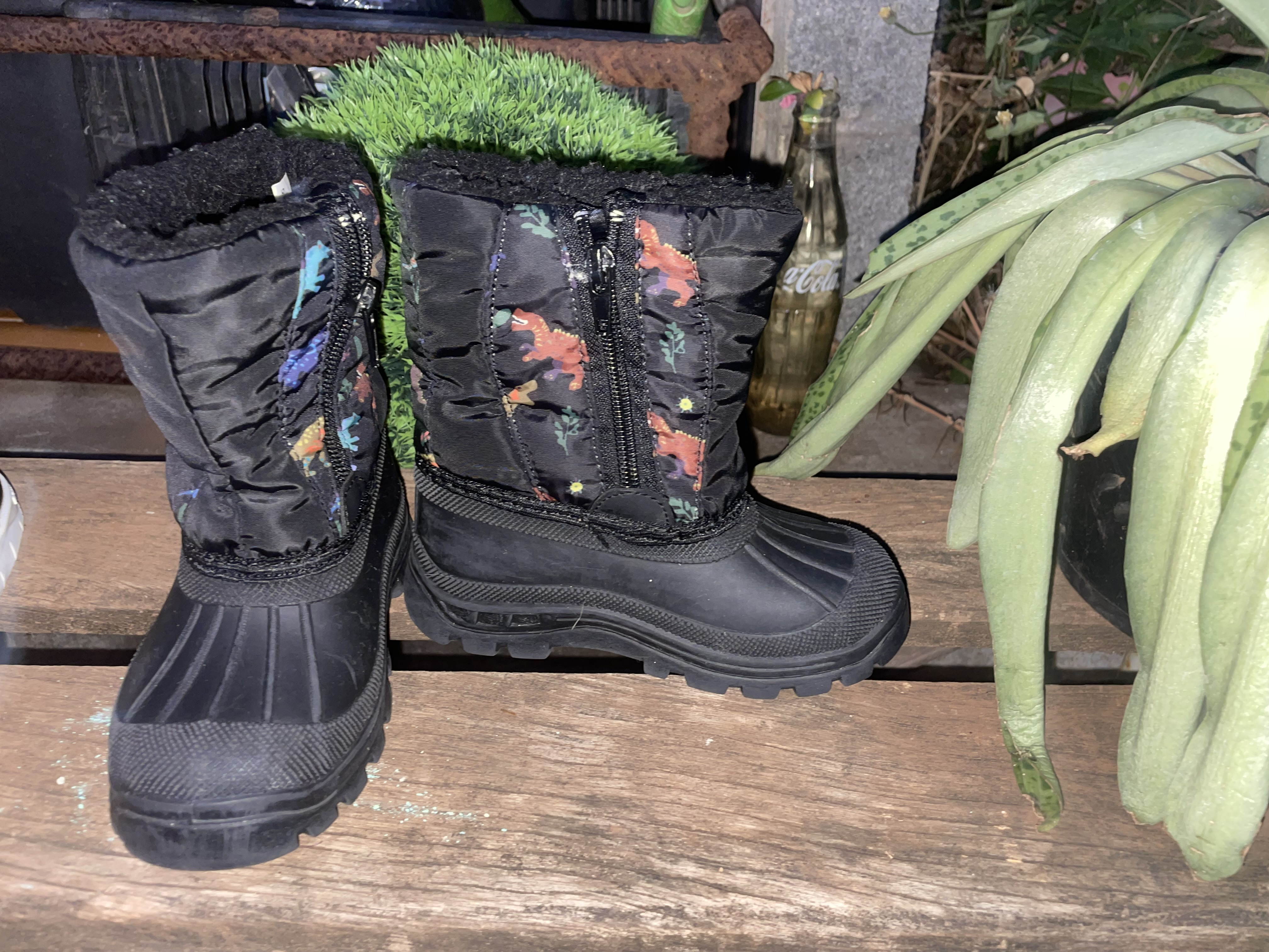 Bottines capesnow noir dinosaures