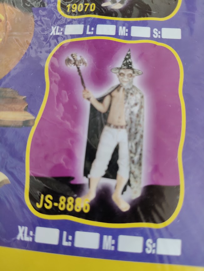 CAP sorcier déguisement carnaval NEUF