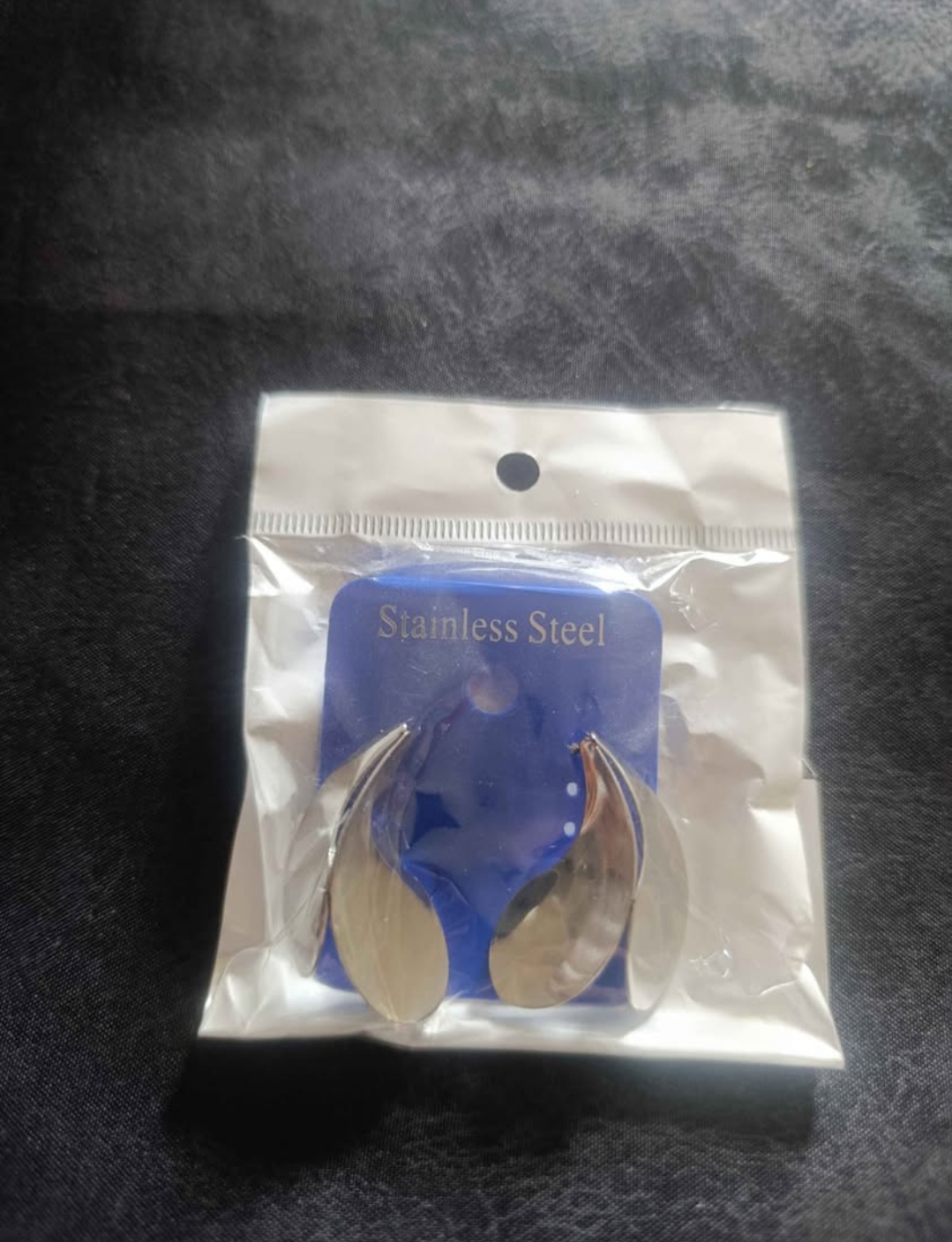 Boucle d'oreille en Acier Inoxydable, couleur Argenté